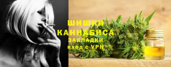 гидра Алексин