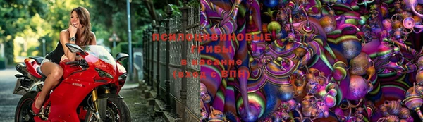 экстази Алзамай