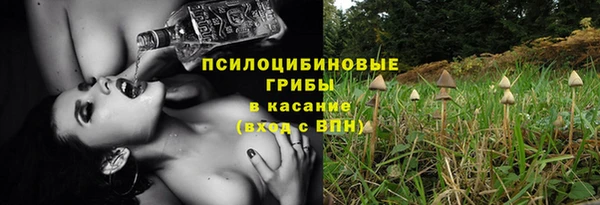 гидра Алексин